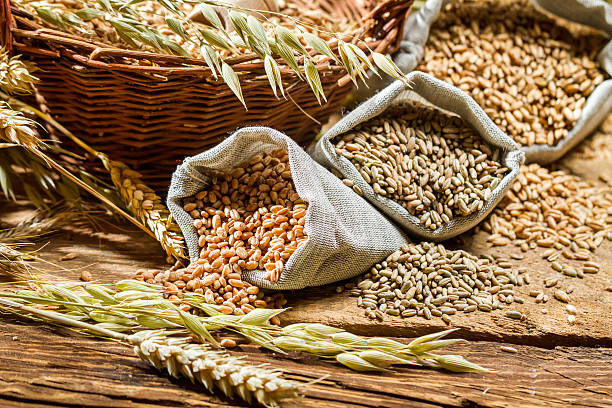 Whole Grains are source of Fiber