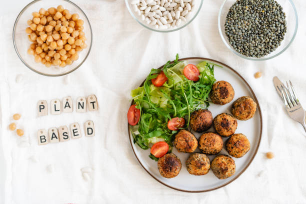 Plant-Based Diet