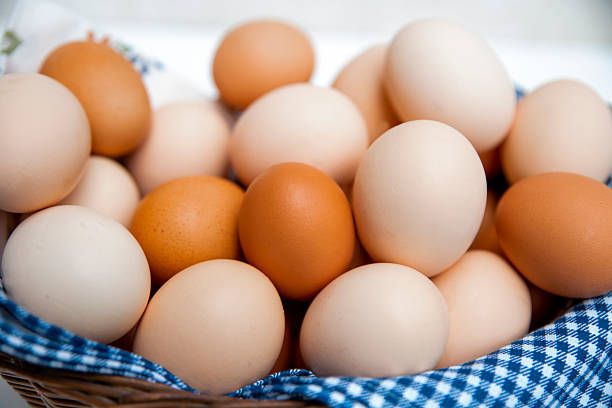 Eggs are High-Protein